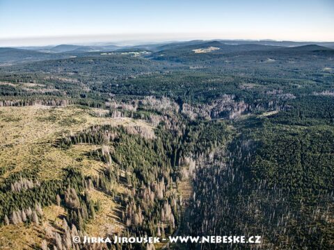 Modravský potok 2009 J5629