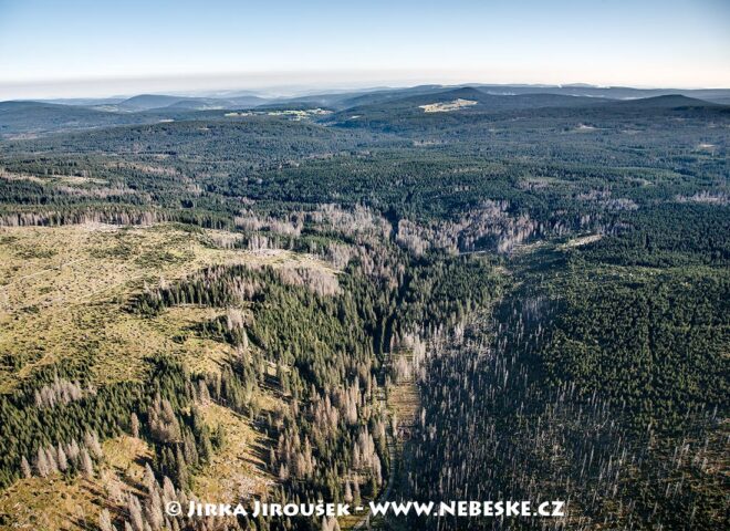 Modravský potok 2009 J5629