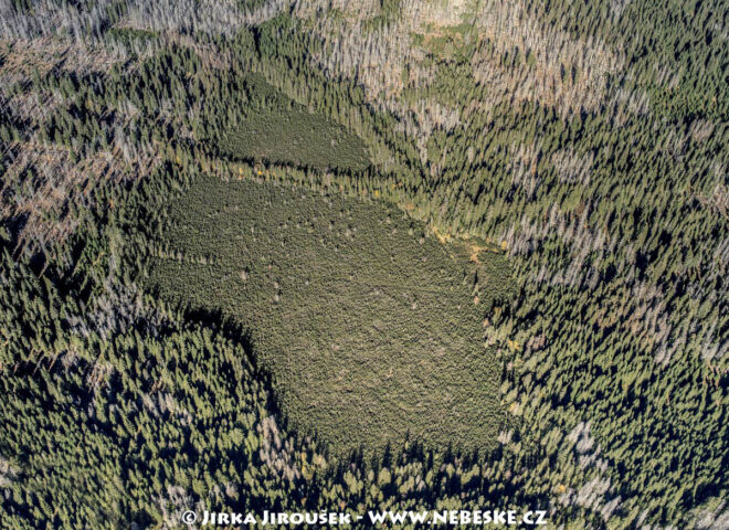 Modravské slatě 2015 J5634