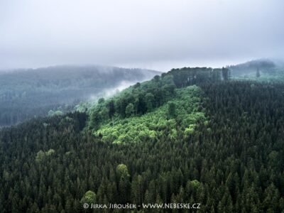 Národní přírodní rezervace Žofínský prales J5556
