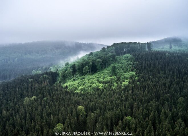 Národní přírodní rezervace Žofínský prales J5556