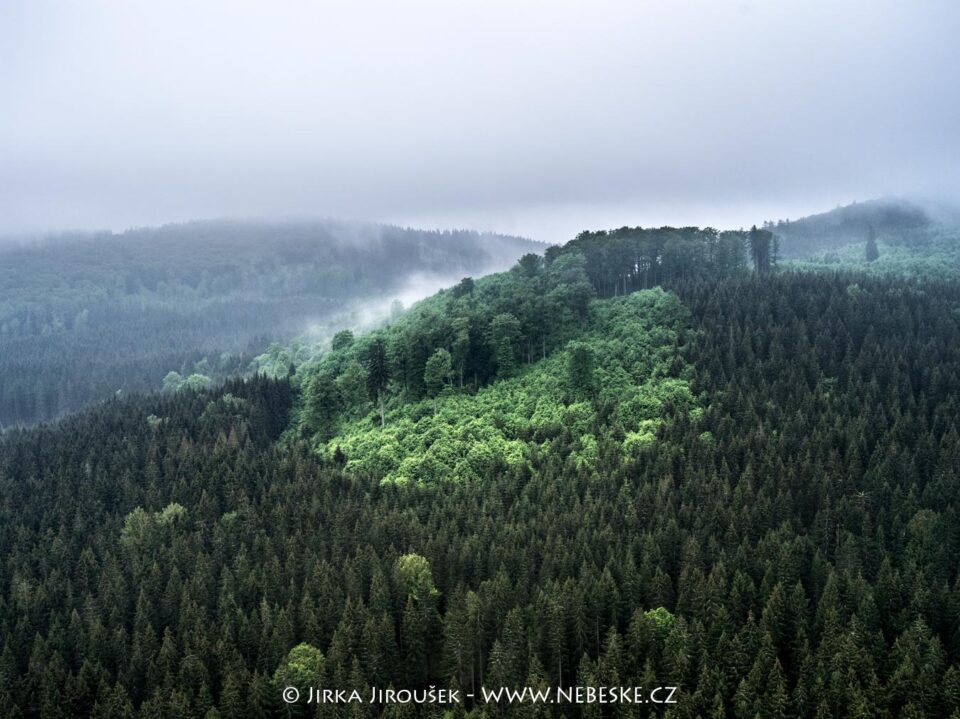 Národní přírodní rezervace Žofínský prales J5556