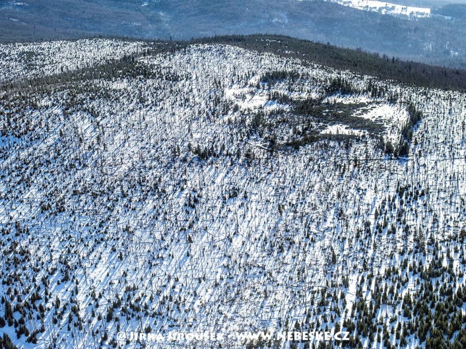 Vrcholové slatě J5641