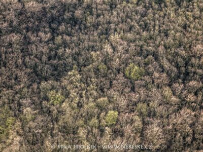 Jarní lesy Český kras u Vinařic J5584