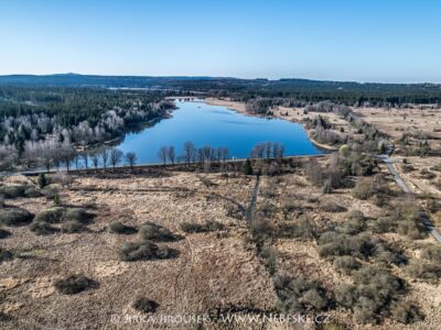 Padrťské rybníky duben 2025 J5582