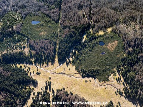 Modravské slatě J5650