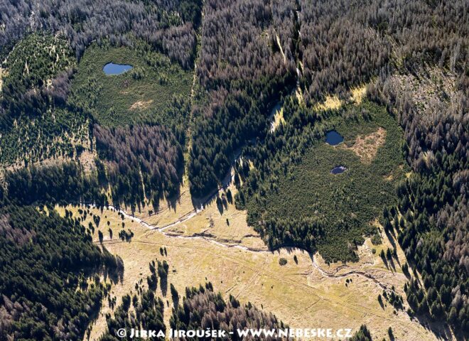 Modravské slatě J5650